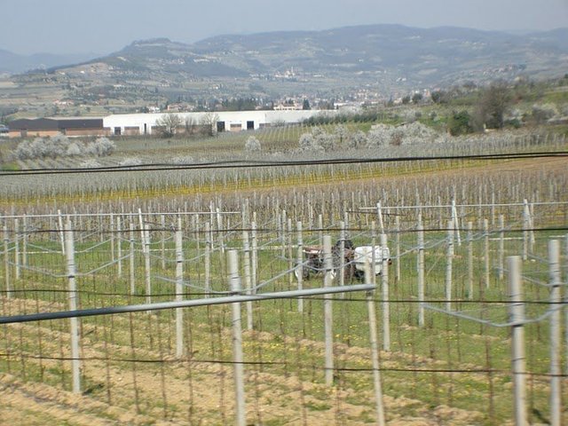 Il tema del decreto regionale sulla legittimazione delle vigne di Quirra approda nel Consiglio comunale di Arzana
